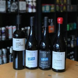 Salud 202304