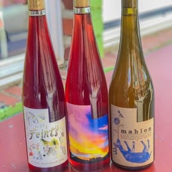 Salud 202315