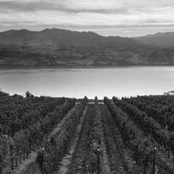 Slow Wine 14247