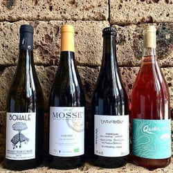 Starr Wines 258799