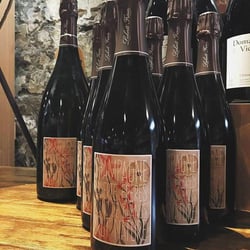 The Wine Store 256044