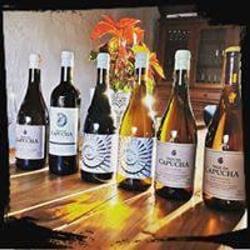 Unchained Selections - entfesselte Weine und Sake 266006