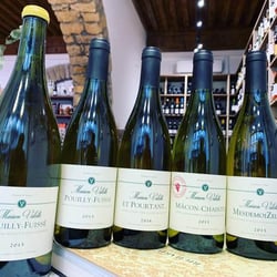 Vins Nature Lyon 1er 490593