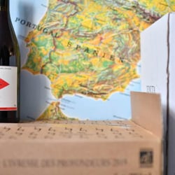VIN på Nørrebro 332687