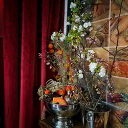 Augustin, Marchand D’Vins 1305268