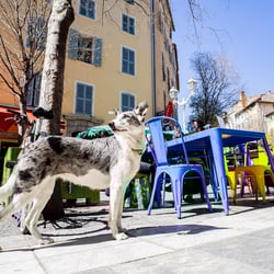 L’épicerie Simple 964222