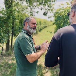 Cave du Château 950995