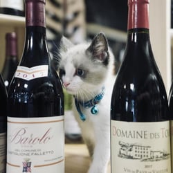 Cave du Château 815127