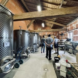 Cave du Château 815129