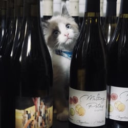 Cave du Château 815130