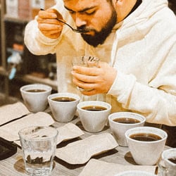 Maison Maitre 894496