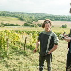 Ô Vins d’Anges 903810