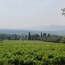 Terres d’Esclans 920653