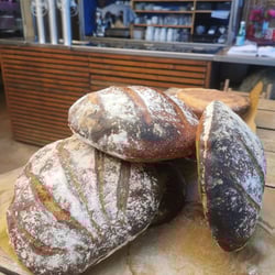 Cabanon Sauvage 896729