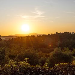 Collebrunacchi Ristorante B&B 843391