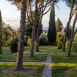 Collebrunacchi Ristorante B&B 843395