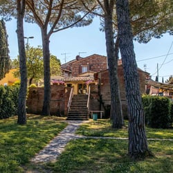 Collebrunacchi Ristorante B&B 843396