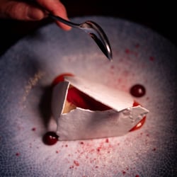 Cuoco e Camicia 1300447