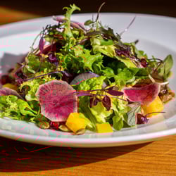 El Brot | Gastronomia Radical 861105