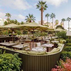 Mr. Nakamoto 1301386