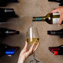 Mr. Nakamoto 1304131