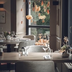 Restaurant Jenny 958815