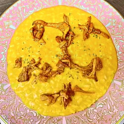 San Gallo Bistrot 1294296