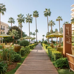 Mr. Nakamoto 1304146