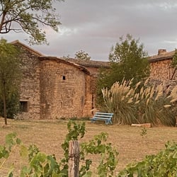 Les vins de Rouyré 871233