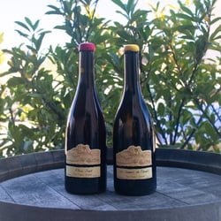 Enoteca Bar Elisa 927074