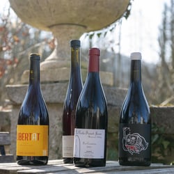 La Petite Epicerie Bio de Sarah 923911