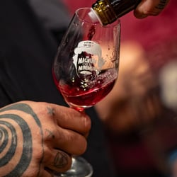 Les Mets Chai, la cave 1293648