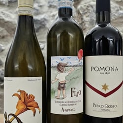 The Great Gig in the Wine 916591