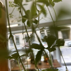 Weinhandel HOLY GRAIL 843844