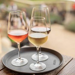 Ahead Burghotel 527489