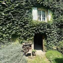 Joanne Dans Le Vin 796822