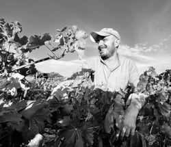 Cantina Carta - Piero Carta logo