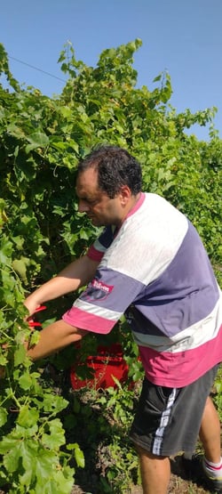 Azienda Alberto Lot - Alberto Lot logo