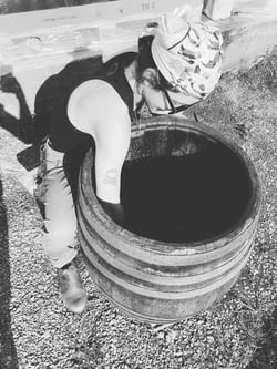 Kolonia 52 - Annamaria Torok & Attila Francisti logo