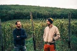 Kövesd Wine - Attila Sánta & Zoltán Varga logo