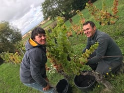 La Cave À Janot - Cécile Routier & Jean Dubien logo