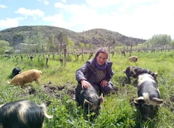 Coloane Gabrielle - Coloane Silva Gabrielle logo