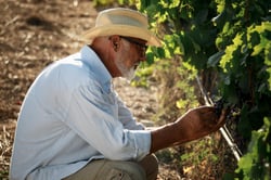 Tenuta La Favola - Corrado Gurrieri logo