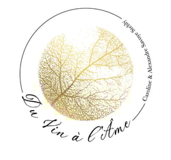 Du Vin à l'Âme - Caroline & Alexandre Savoye Stehly logo