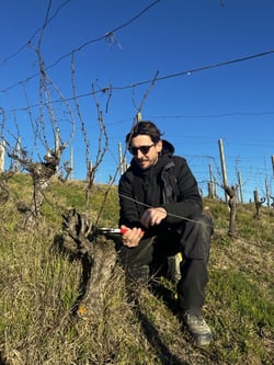 I Versanti - Enrico Oliveri logo