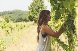 Cascina degli Ulivi - Ilaria Bellotti logo