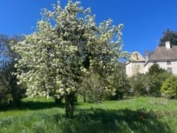 Domaine de Mandelot - François Grangé logo