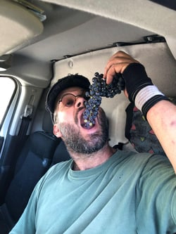 Coteaux des Girondales - Francis Rousset logo