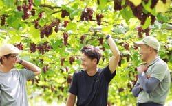 Ikka Wines - Ikka Wines logo