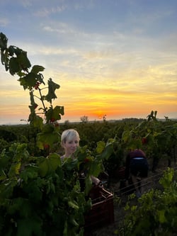 Organisons Nous - Iris Frauchiger logo